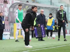 La grinta del tecnico della Triestina Giuseppe Marino (foto Andrea Lasorte)