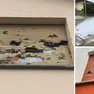 I danni alle abitazioni a Mortegliano dopo una grandinata