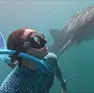 Gaia Peracca in immersione con lo squalo balena