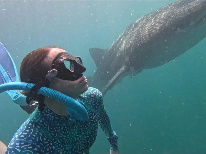 Gaia Peracca in immersione con lo squalo balena
