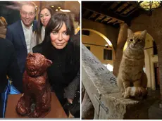 La statua di Rossini in municipio a Rovigo e il micio Rossini