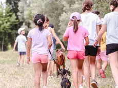 Bambine e bambini durante una gita promossa da un centro estivo