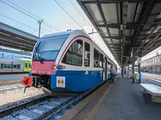 Udine. Un treno della Fuc.