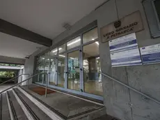 Il liceo Petrarca. Foto Lasorte