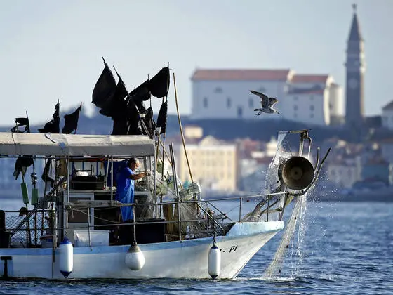 Un peschereccio in acque croate