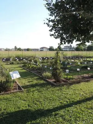 A Capodistria sarà creata una cinquantina di orti urbani