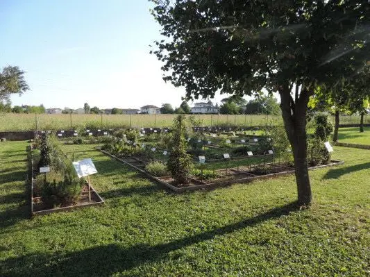 A Capodistria sarà creata una cinquantina di orti urbani