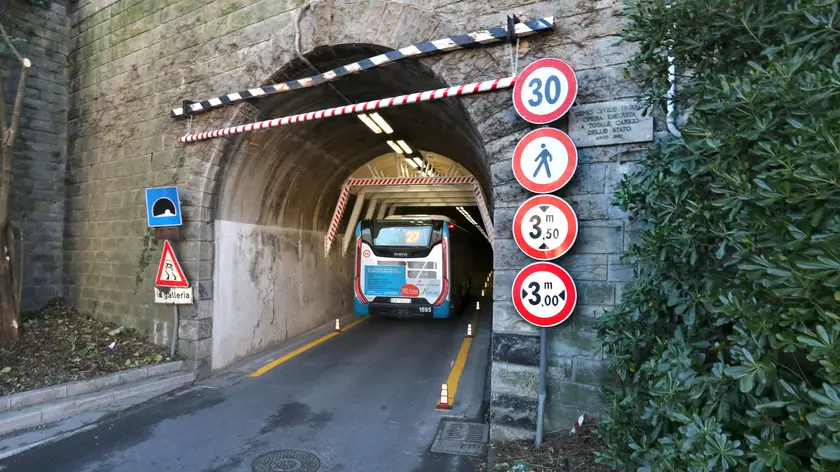L'ingresso della Galleria di Muggia (Lasorte)