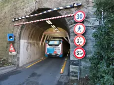 L'ingresso della Galleria di Muggia (Lasorte)