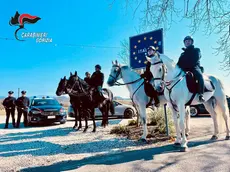 I carabinieri a cavallo