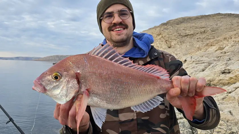 Il maxi "ribon" pescato sull'isola croata