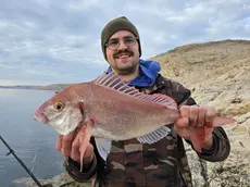 Il maxi "ribon" pescato sull'isola croata