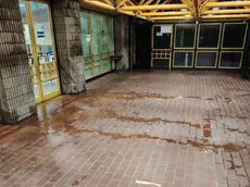 Le infiltrazioni nella palestra di Altura durante le piogge Foto Lasorte