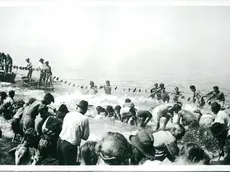 Un’immagine della pesca al tonno negli anni ’40