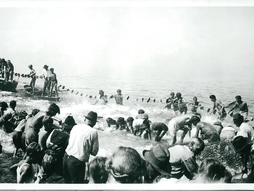 Un’immagine della pesca al tonno negli anni ’40