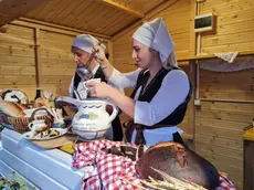 Una passata edizione del festival della Sopa a Rovigno