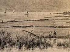 Una stampa delle saline di Zaule