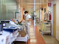 Il reparto di Pneumologia a Cattinara in una foto di repertorio (Lasorte)