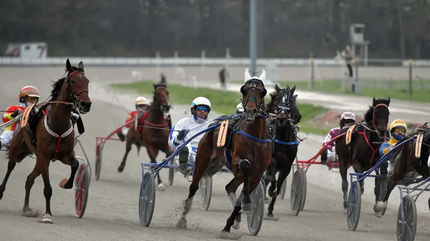 Il Memorial Jegher del 2025, l’ultimo all’ippodromo di Montebello, vinto da Fiamma Foto Bruni