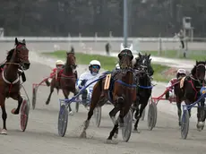 Il Memorial Jegher del 2025, l’ultimo all’ippodromo di Montebello, vinto da Fiamma Foto Bruni