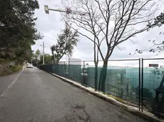 La strada che dalla Costiera porta a Santa Croce (foto Andrea Lasorte)
