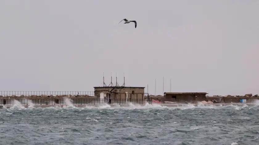 Bora a Trieste. Foto Silvano