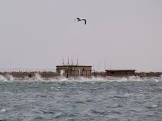 Bora a Trieste. Foto Silvano