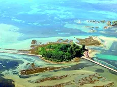 La laguna di Marano e Grado risulta ancora contaminata dal mercurio