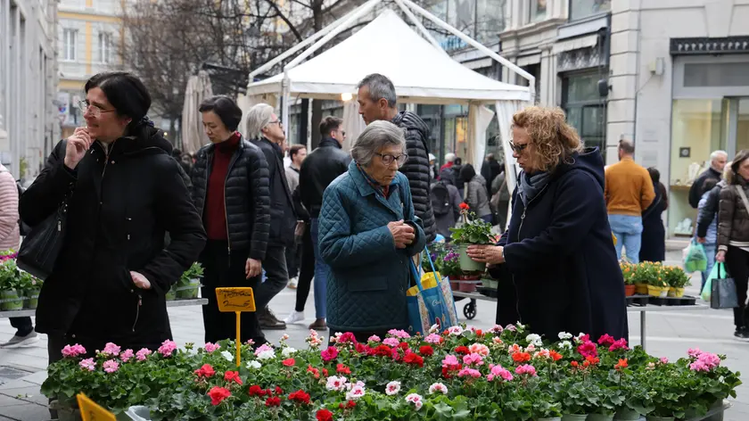 Tra gli stand si chiacchiera e si contratta sulle piante