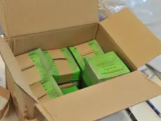 Udine 21 marzo 2026 - Referendum, seggio Scuola Fermi - Foto Petrussi