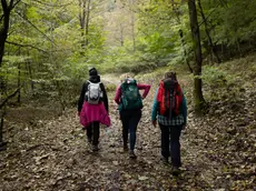Zaino in spalla a passeggio nei boschi