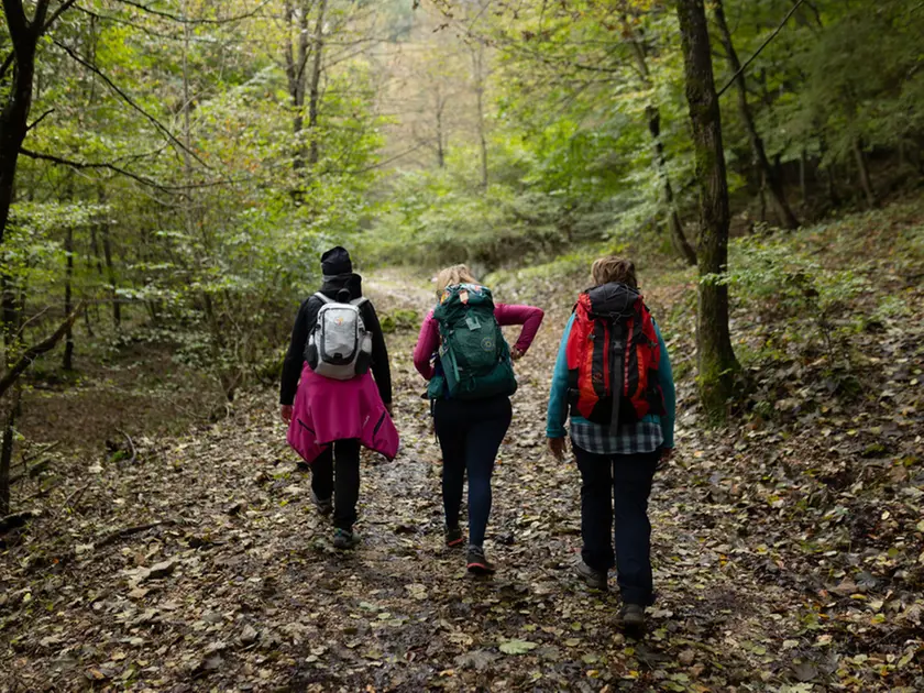 Zaino in spalla a passeggio nei boschi