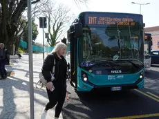 Il bus transfrontaliero che collega Gorizia a Nova Gorica