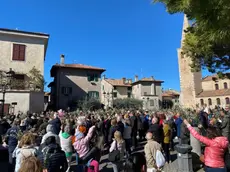 La benedizione degli ulivi nella domenica delle Palme