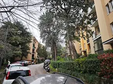 Via Cubi a Borgo San Sergio (Lasorte)