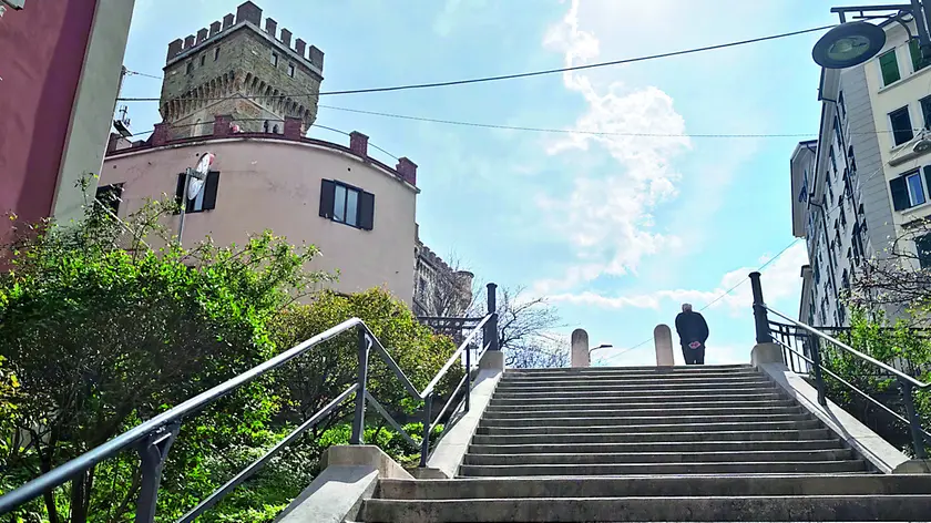 Bosco Pontini (Giardino Basevi), l’area era compresa tra via Bramante, via Tiepolo e scala Joyce (foto Lasorte)