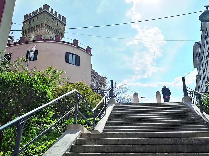 Bosco Pontini (Giardino Basevi), l’area era compresa tra via Bramante, via Tiepolo e scala Joyce (foto Lasorte)