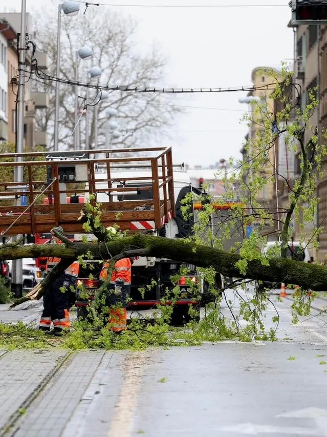 Maltempo in Croazia, gli interventi dei Vigili del fuoco