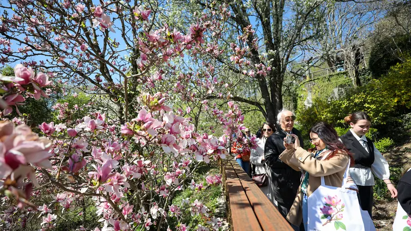 Alcuni momenti della riapertura del Giardino di Casa Viatori, trasformata in un GoGreen point. Fotoservizio Tibaldi