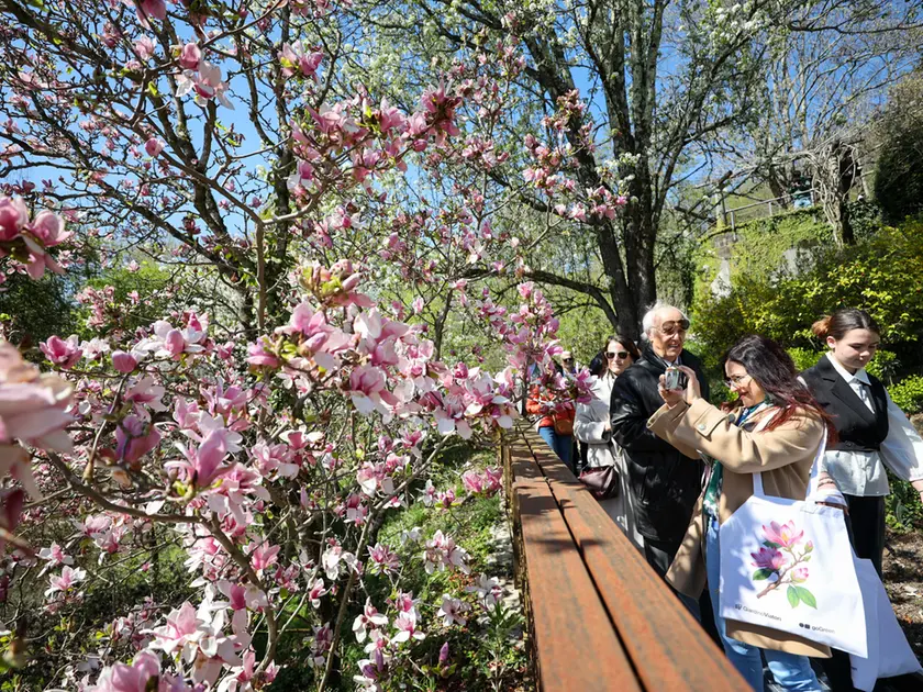Alcuni momenti della riapertura del Giardino di Casa Viatori, trasformata in un GoGreen point. Fotoservizio Tibaldi