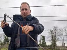 Lorenzo Pellizzon, 49 anni, con le forbici del suo lavoro