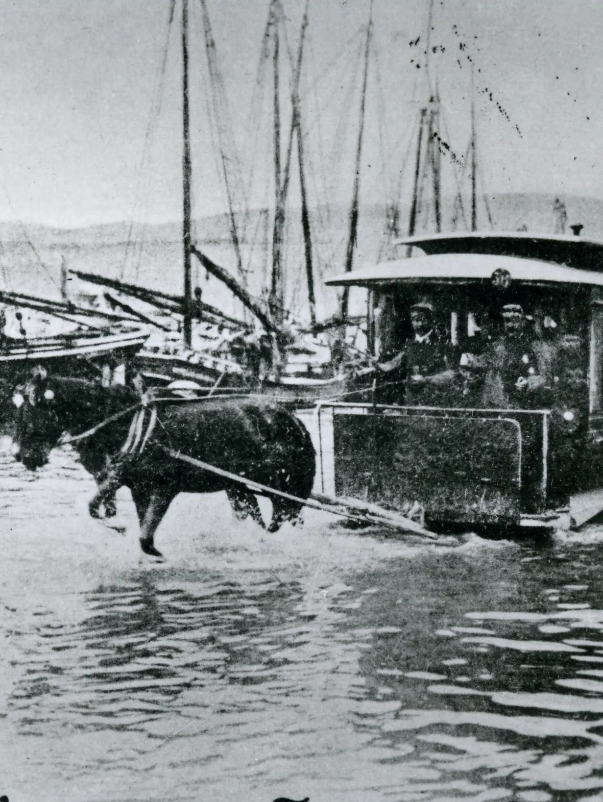 Le vetture del tram trainate da cavalli a Trieste