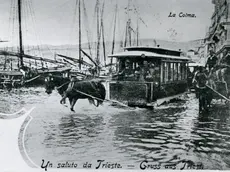 Le vetture del tram trainate da cavalli a Trieste