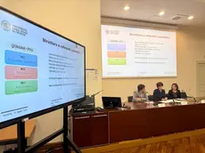 La presentazione dei nuovi progetti