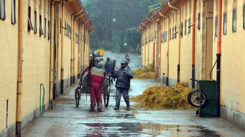 Le scuderie dell’Ippodromo di Montebello (foto Francesco Bruni)