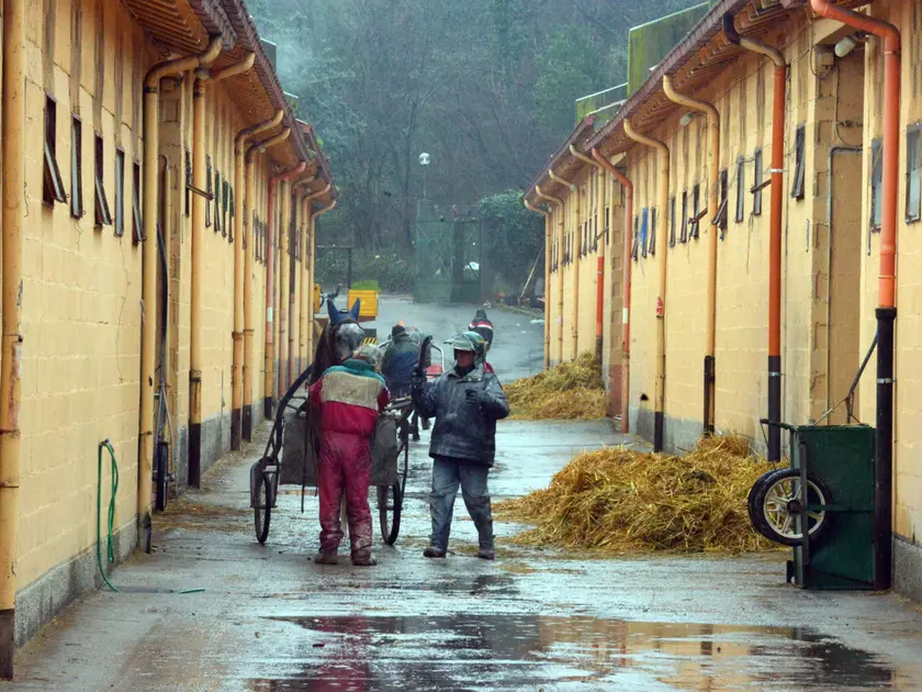 Le scuderie dell’Ippodromo di Montebello (foto Francesco Bruni)