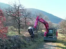 La manutenzione dei sentieri del Carso