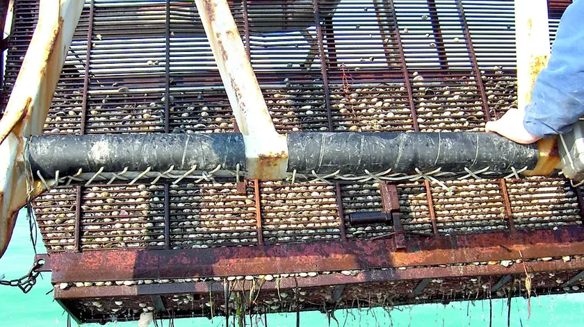 Un macchinario per la raccolta delle vongole