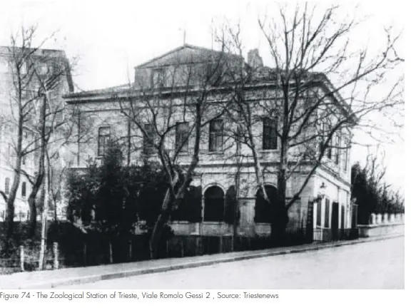 Villa Gialuzzi sede della Stazione zoologica aperta a Trieste nel 1875 dall’Austria