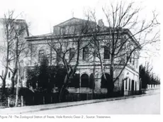 Villa Gialuzzi sede della Stazione zoologica aperta a Trieste nel 1875 dall’Austria